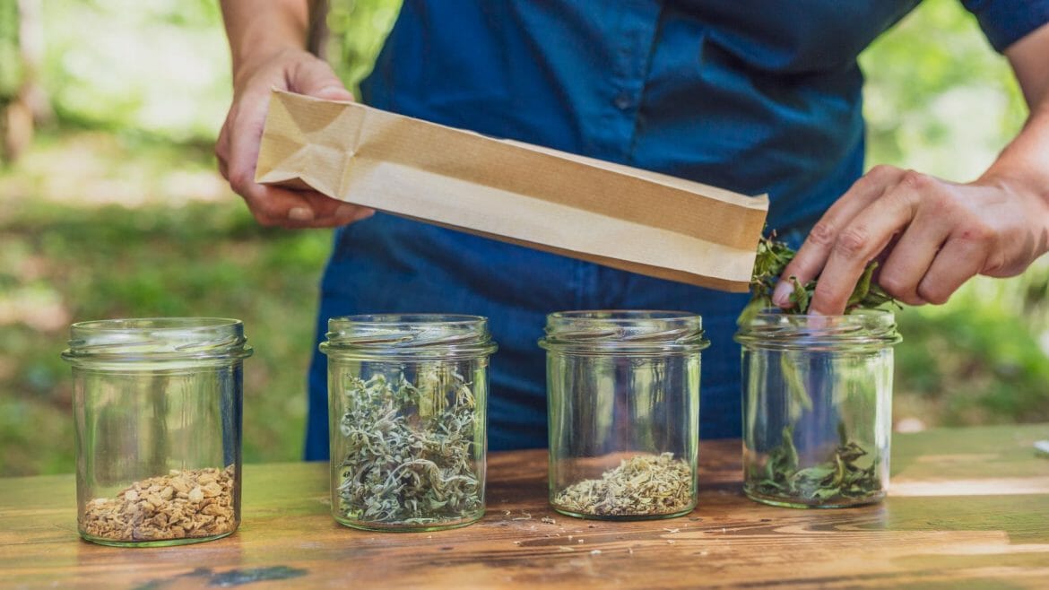 Sušené i čerstvé rostliny míří z papírového sáčku do sklenic, aby se z nich mohly vyrobit léčivé prostředky