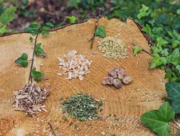 SalcburskýSaalachtal je místem, kde vzniklo sdružení Tradiční evropské medicíny a se zpracováváním léčivých rostlin zde mají místní bylinkářky a kořenáři spoustu zkušeností