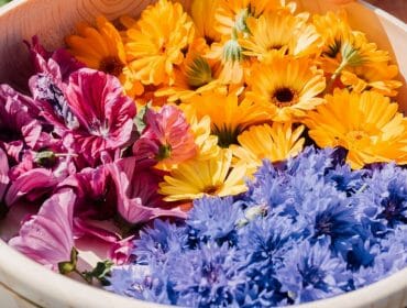 Barevné jedlé květy a bylinky, které jsou součástí letních pokrmů ze Salcburska