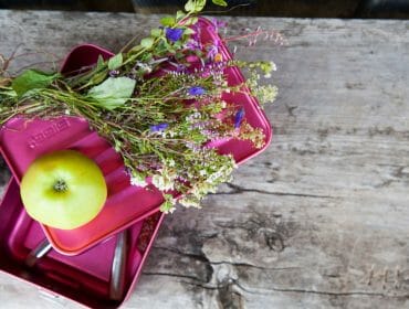 Jablko na svačinovém boxu s lučními květinami