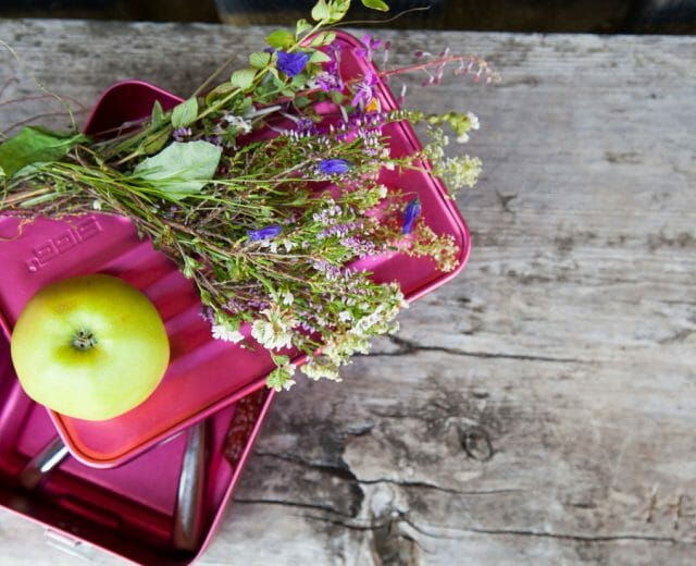 Jausenbox mit Blumen Jablko na svačinovém boxu s lučními květinami