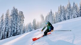 FILZMOOS BERGBAHNEN Lyžař sjíždějící během lyžařského výletu zasněžený svah lemovaný borovicemi pokrytými jinovatkou ve Filzmoosu.