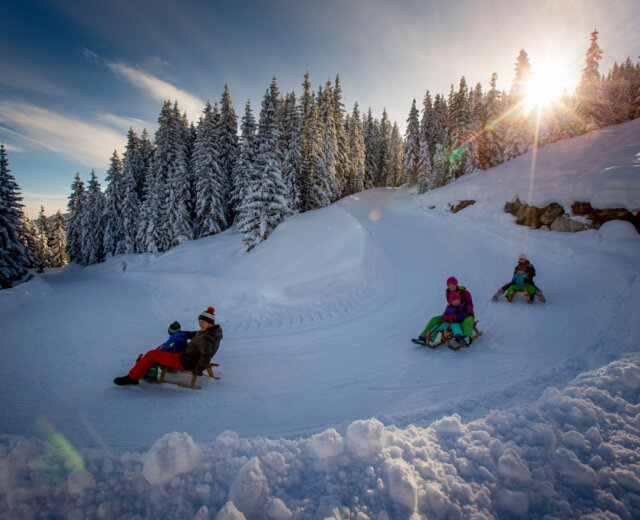 Sáňkování ve Filzmoosu