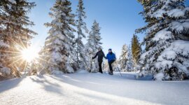 Wintersonne auf allen Wegen┬ęChristianFischbacher_Filzmoos Tourismus_www.filzmoos.at Dva lidé na sněžnicích procházející zasněženým lesem v rakouských Alpách během skialpinistického výletu ve Filzmoosu.