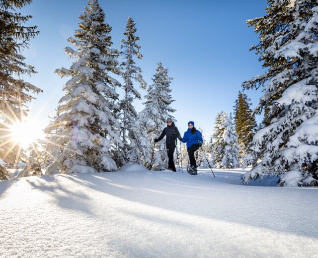 Wintersonne auf allen Wegen┬ęChristianFischbacher_Filzmoos Tourismus_www.filzmoos.at Dva lidé na sněžnicích procházející zasněženým lesem v rakouských Alpách během skialpinistického výletu ve Filzmoosu.