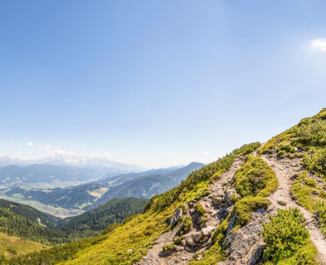 16_flachau_sommer_landschaft_berge_gipfel_griessenkar_6 Léto ve Flachau, vrchol Grießenkar