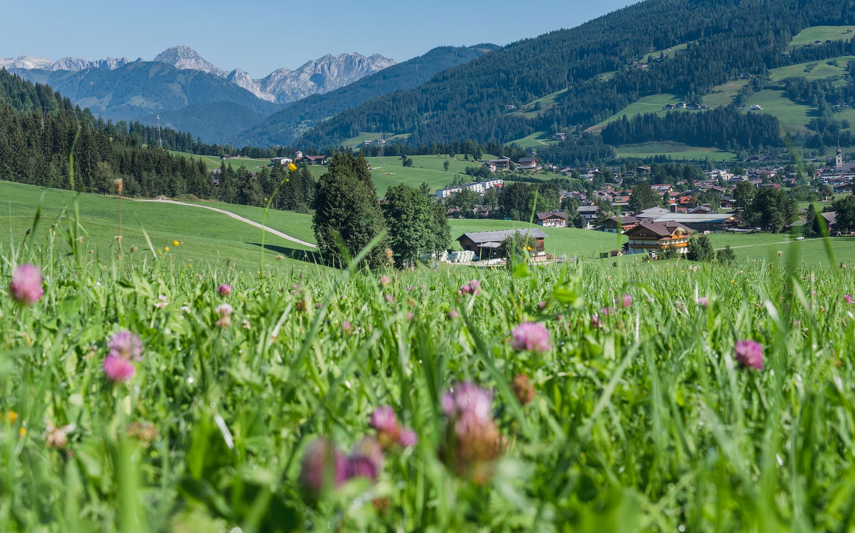 Divoké květiny na zelené louce s vesnicí, kopci a vzdálenými horami pod jasně modrou oblohou.