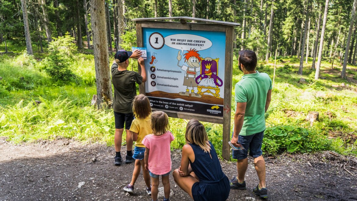 Rodina s dětmi si za slunečného dne čte ilustrovanou ceduli v lese Flachau Salcbursko.