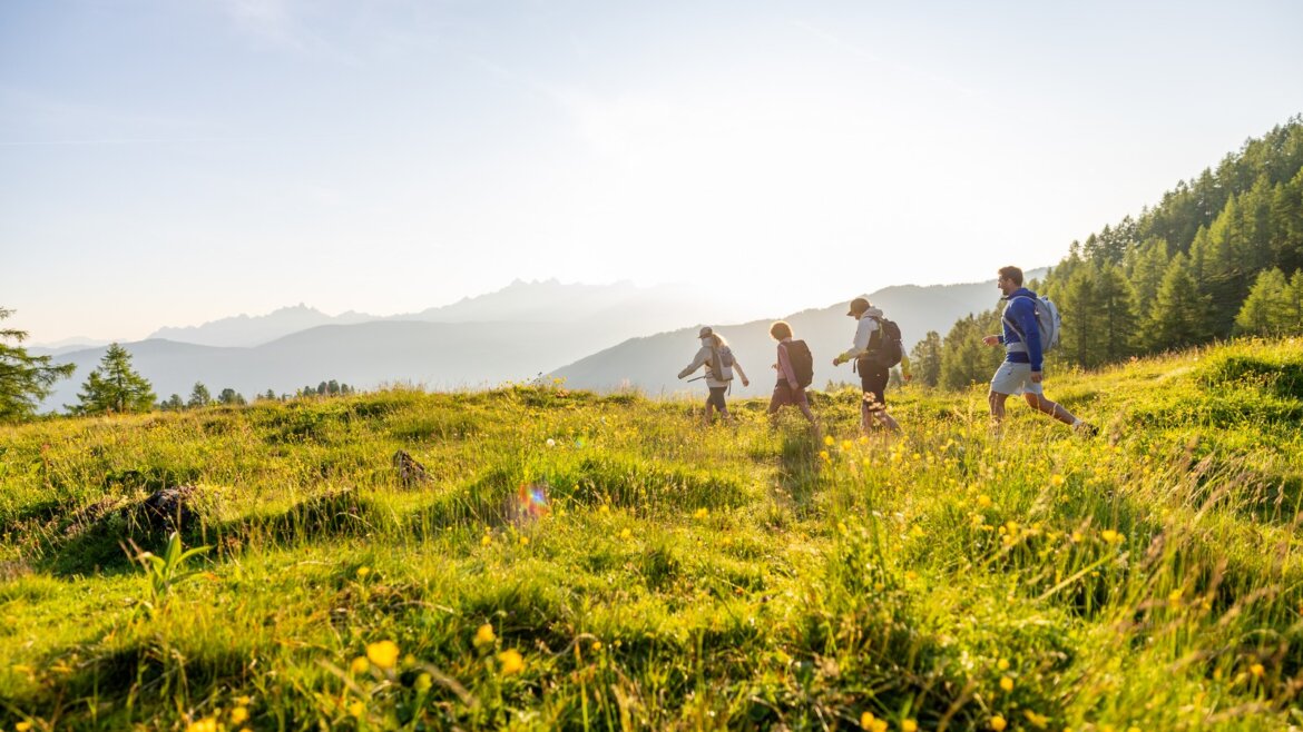 Zelené pastviny ve Flachau © Flachau Tourismus, Markus Berger Čtyři lidé si užívají Flachau turistika, turistika na slunné louce se stromy a horami v pozadí. (Zvětšený pohled)