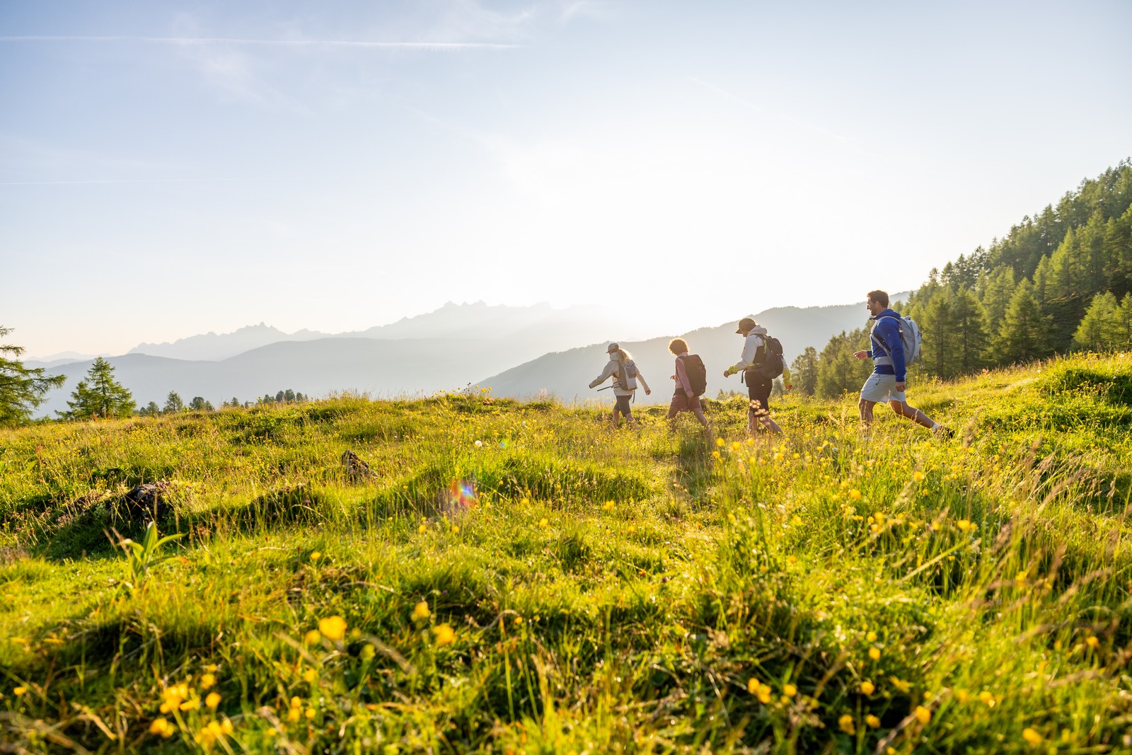 25-flachau-sommer-wandern-berge-18 Čtyři lidé s batohy na zádech stoupají do kopce ve Flachau Salcbursko, v pozadí jsou stromy a hory.