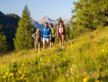25-flachau-sommer-wandern-berge-19 Čtyři lidé kráčejí do kopce na louce plné květin nedaleko Flachau turistika, za nimi hory a stromy.