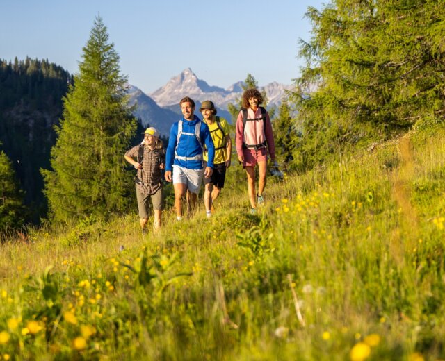 Čtyři lidé kráčejí do kopce na louce plné květin nedaleko Flachau turistika, za nimi hory a stromy.