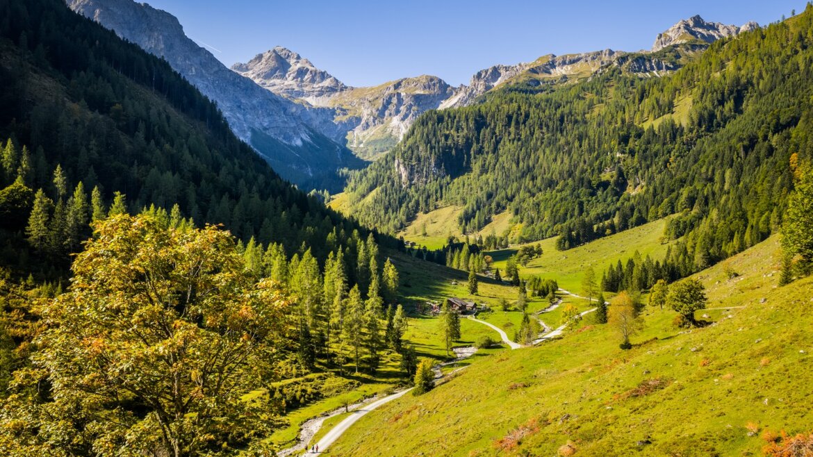 Klikatá silnice protíná zelené údolí Flachau Salcbursko, rámované zalesněnými horami a modrou oblohou.