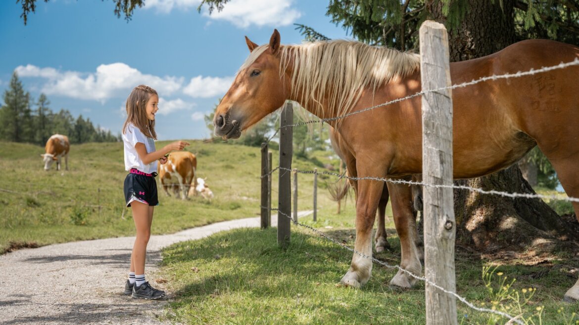 Dívka stojí u plotu, naproti hnědákovi nedaleko Letních lanovek sv. Jana v Salcbursku. (Zvětšený pohled)