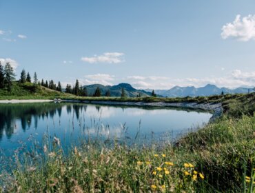 Klidné horské jezero u Svatého Jana v Salcburském lese, obklopené trávou, divokými květinami a výhledem na hory.