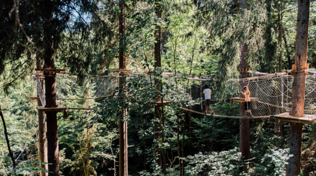Lanová stezka v korunách stromů v St. Johann, lezecké prvky 20 metrů nad zemí, 4 trasy, a to vše navíc zdarma! 