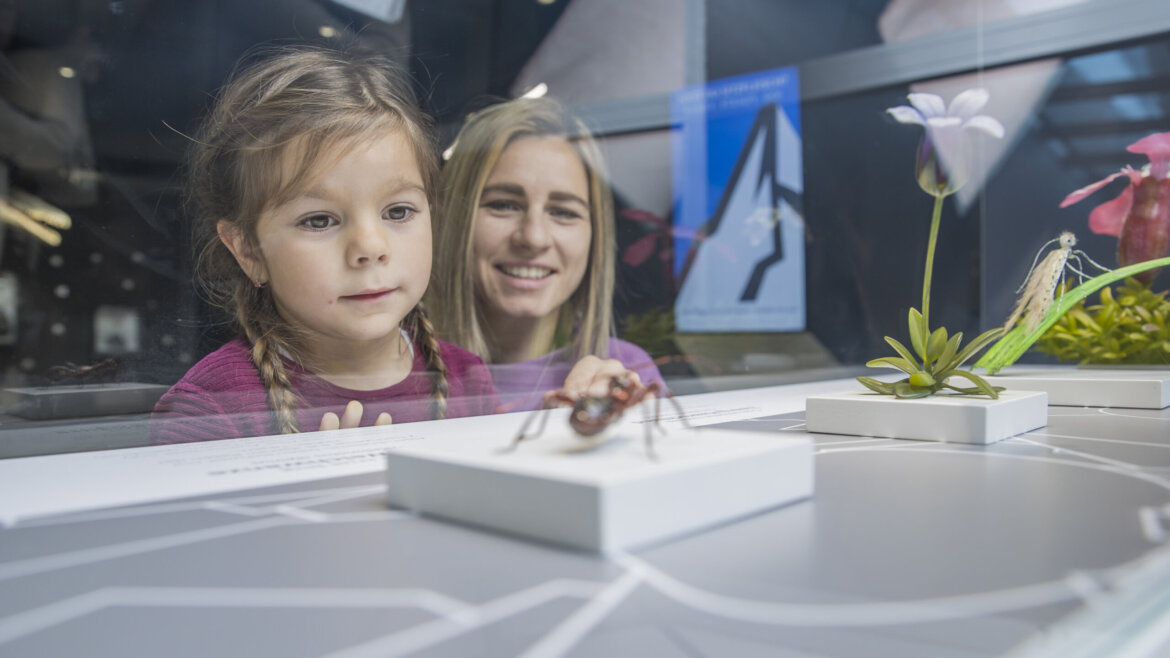 Zkoumání přírody je pro děti zábava © Ferienregion Nationalpark Hohe Tauern, Neumayr/Christian Leopold Zkoumání přírody je pro děti zábava (Zvětšený pohled)