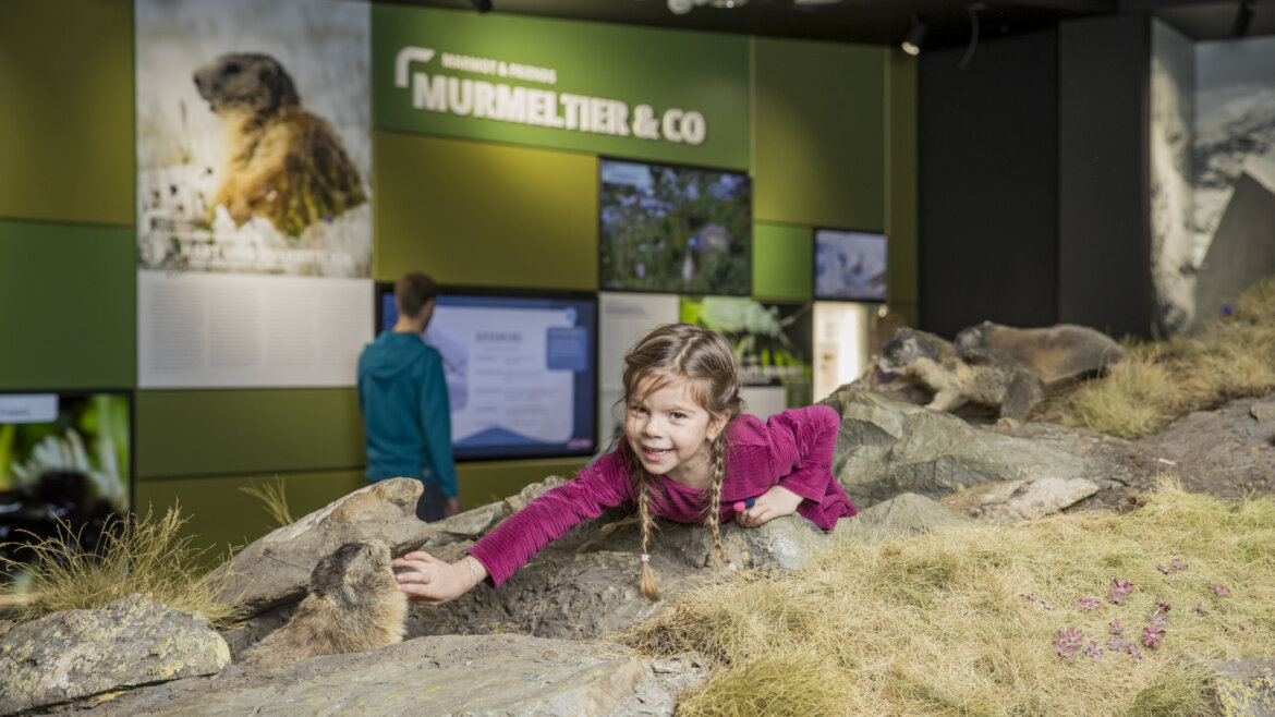 Děti si v Muzeu Národního parku prohlédnou faunu a flóru Vysokých Taur