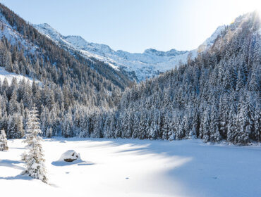 Nedotčená zimní příroda, Národního parku Vysoké Taury kterou stojí za to chránit