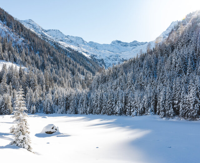 Unberührte Winterlandschaft in der Nationalpark-Region (c) Ferienregion Nationalpark Hohe Tauern – Mathäus Gartner (21) Nedotčená zimní příroda, Národního parku Vysoké Taury kterou stojí za to chránit