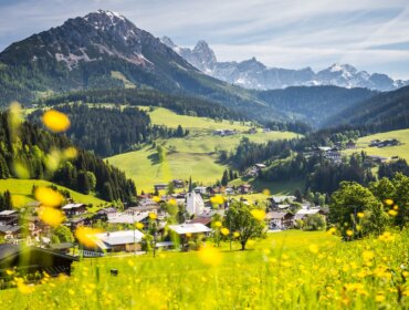 Pohled na Filzmoos z rozkvetlé louky v létě