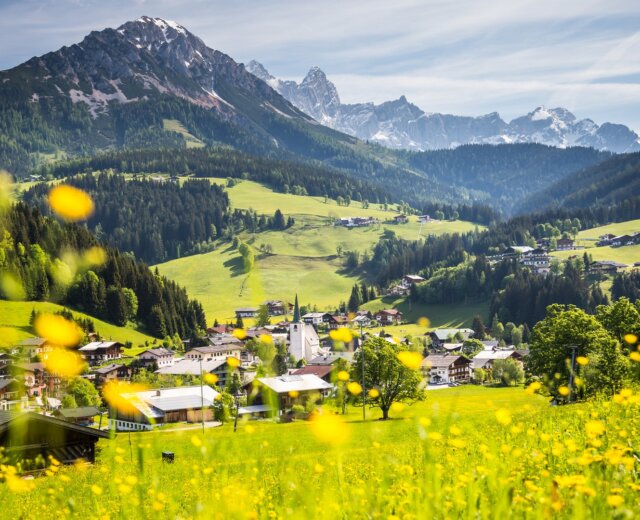 Pohled na Filzmoos z rozkvetlé louky v létě