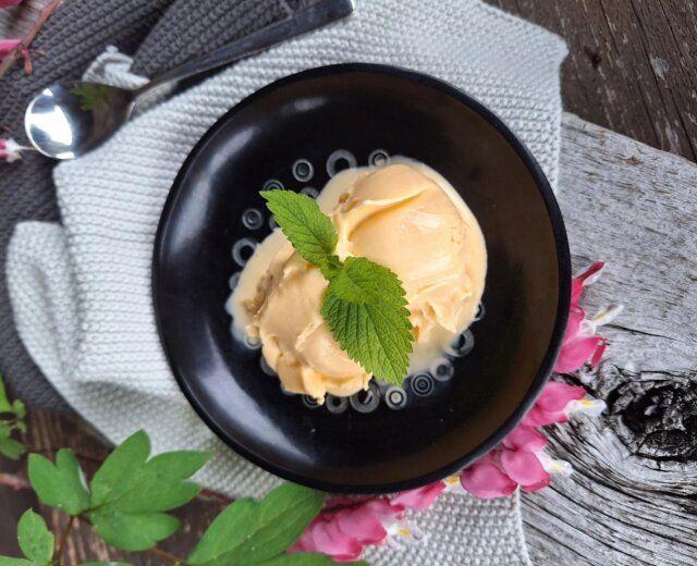 Medová zmrzlina Domácí medová zmrzlina