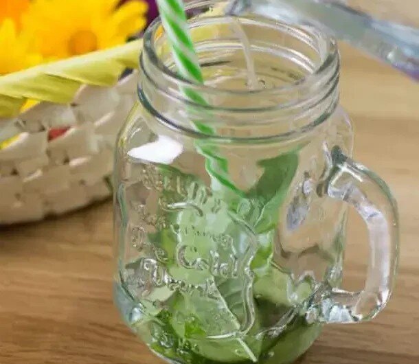 Infused-Water-Gurke-Zitronenverbene©Anke Eder Voda ochucená okurkou a citronovou verbenou ve sklenicích s ledem v létě dokonale osvěží