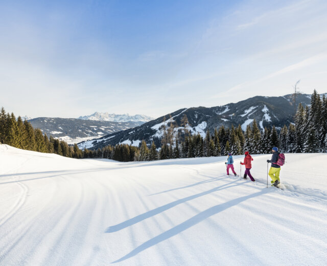 Schneeschuhwandern im Tiefschnee in Flachau Tři turisty na sněžnicích v zimní krajině, v pozadí les