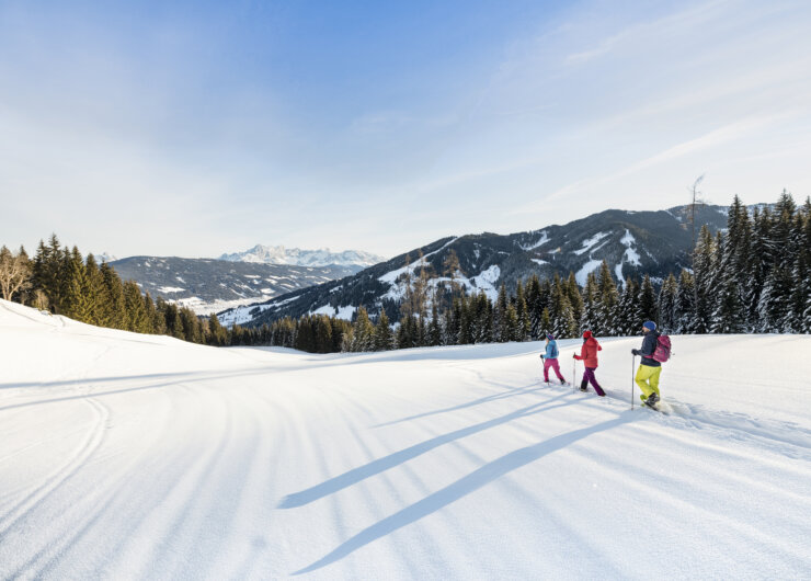Tři turisty na sněžnicích v zimní krajině, v pozadí les