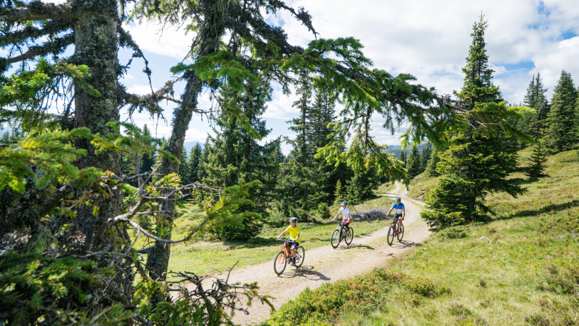 Jízda na horském kole po alpské stezce v oblasti Piesendorf a Niedernsill (Zvětšený pohled)
