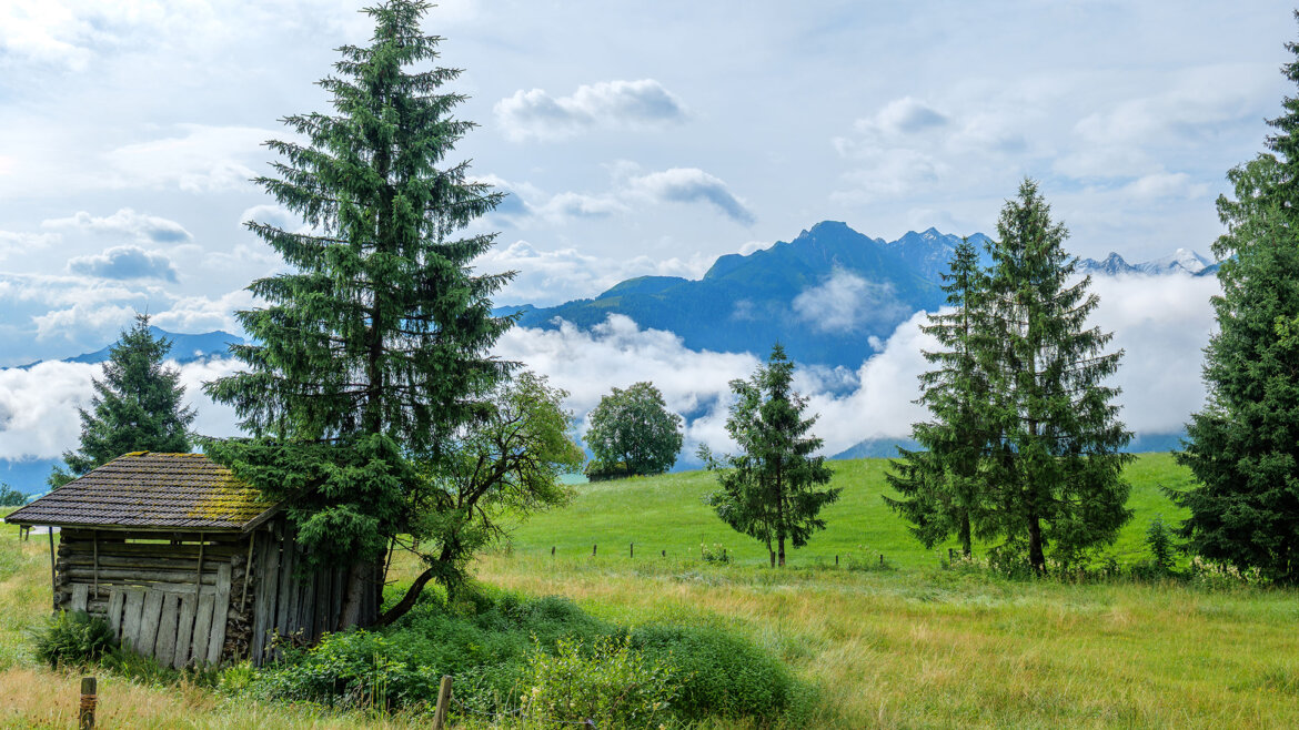 Pohled na přirozenou krajinu v oblasti Piesendorf a Niedernsill s loukami, lesy a horami v pozadí (Zvětšený pohled)