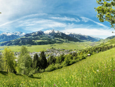 Zelená louka s divokými květy s výhledem na Piesendorf a Niedernsill v létě a zasněžené hory Národního parku Vysoké Taury