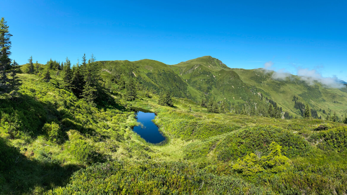 Travnaté hřebeny Pinzgauer Grasberge v Kitzbühelských Alpách s jemnými svahy a horskou krajinou (Zvětšený pohled)