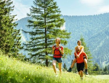 Tre personer vandrer i et græsbevokset bjergområde med fyrretræer og en solrig himmel i baggrunden.