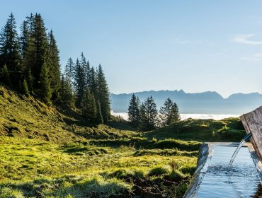 Et vandtrug af træ i et græsklædt bjerglandskab med træer og fjerne tågetoppe under en blå himmel.