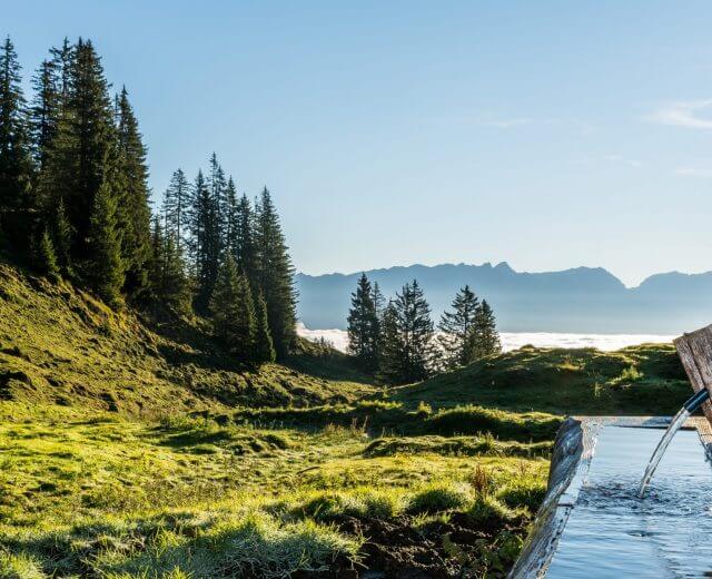 Kraftplatz -c- Peter Kuhnl -5-_klein Et vandtrug af træ i et græsklædt bjerglandskab med træer og fjerne tågetoppe under en blå himmel.