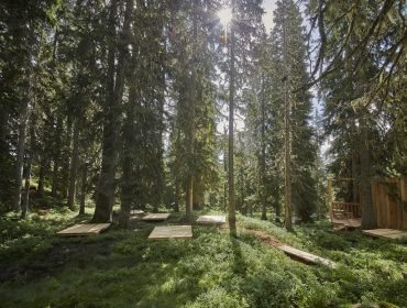 Sollyset strømmer gennem høje fyrretræer ned på træplatforme i en grøn skovlysning.