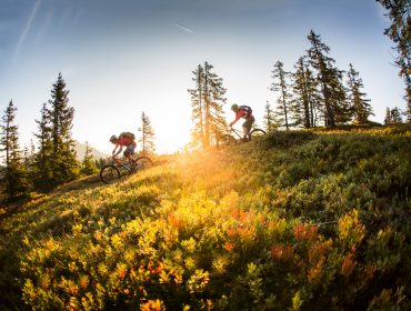 To cyklister kører op ad bakke gennem en solbeskinnet skovlysning med træer og grønt omkring.