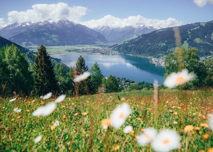 Vilde blomster på en græsmark med udsigt over en sø, bjerge og en lille by i det fjerne under en blå himmel.