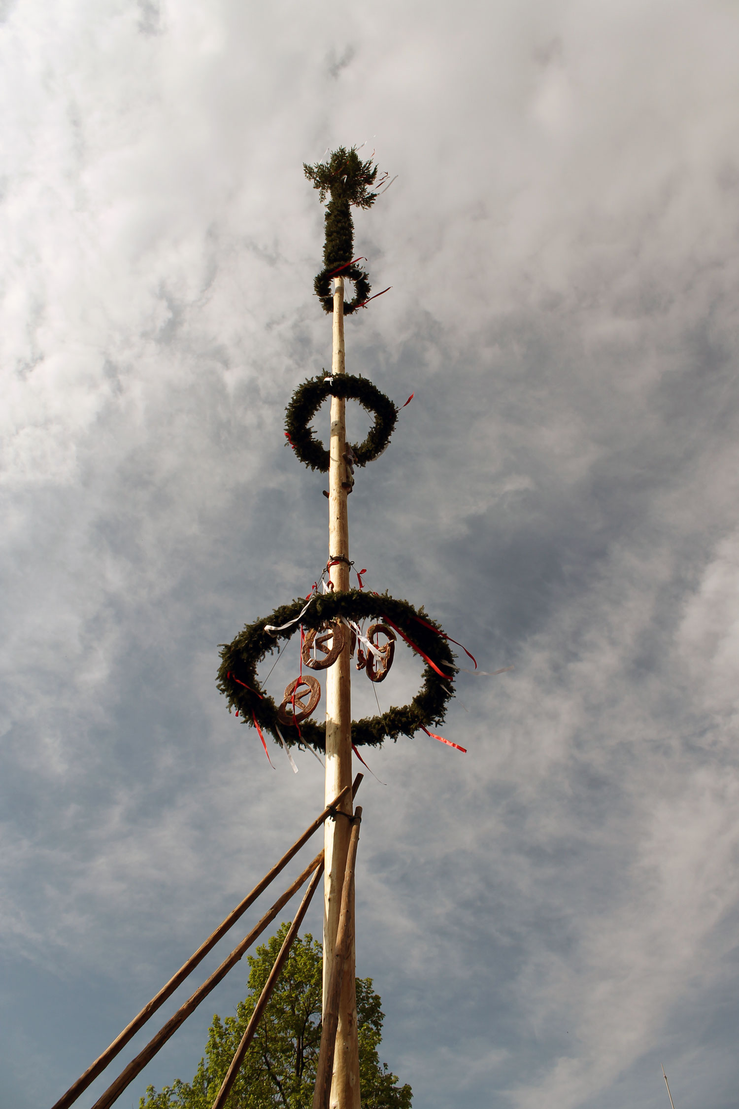 Der Maibaum Wird Aufgestellt SalzburgerLand Magazin   IMG 1078 