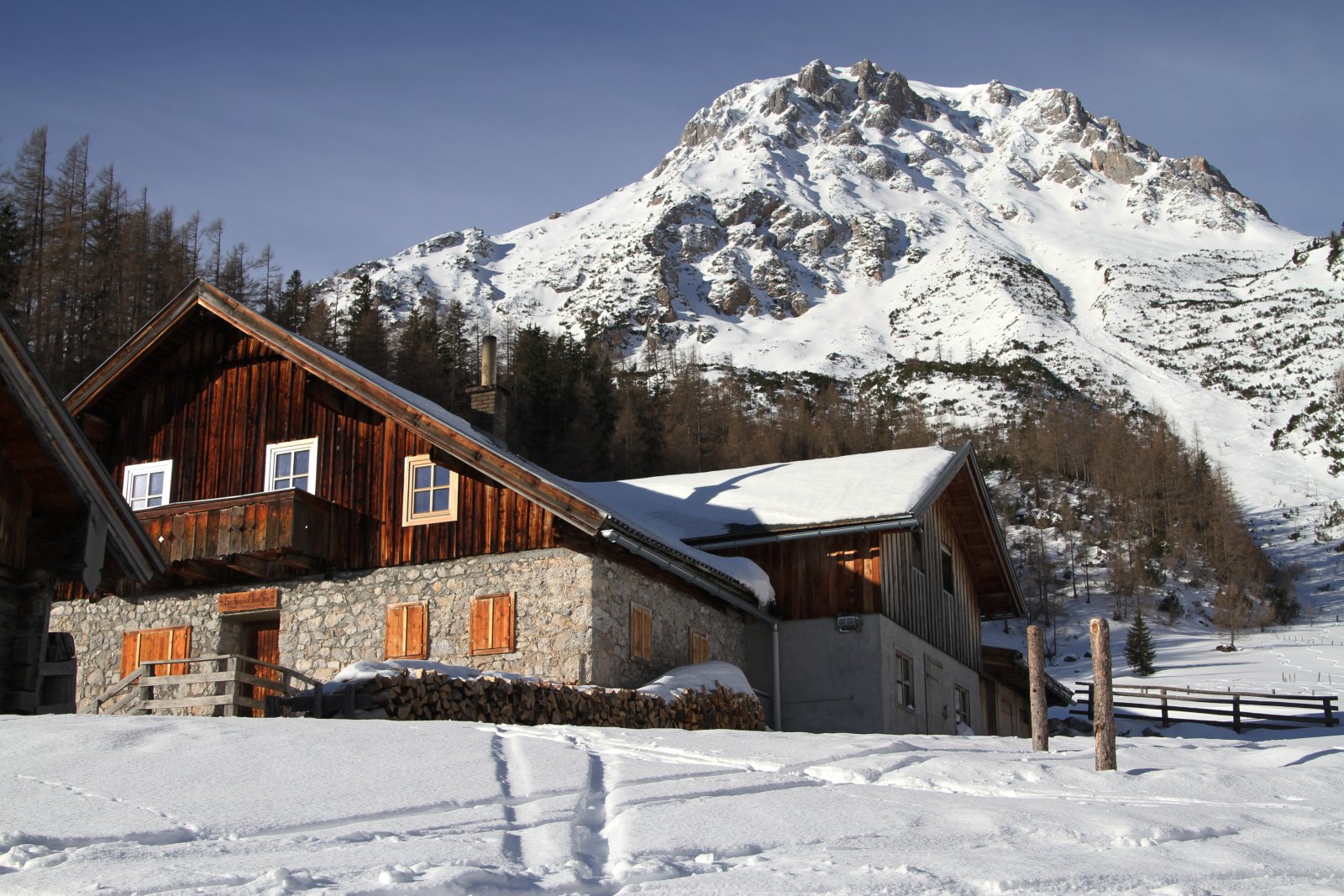 Ăber die Bachlalm zum Sulzenhals SalzburgerLand Magazin