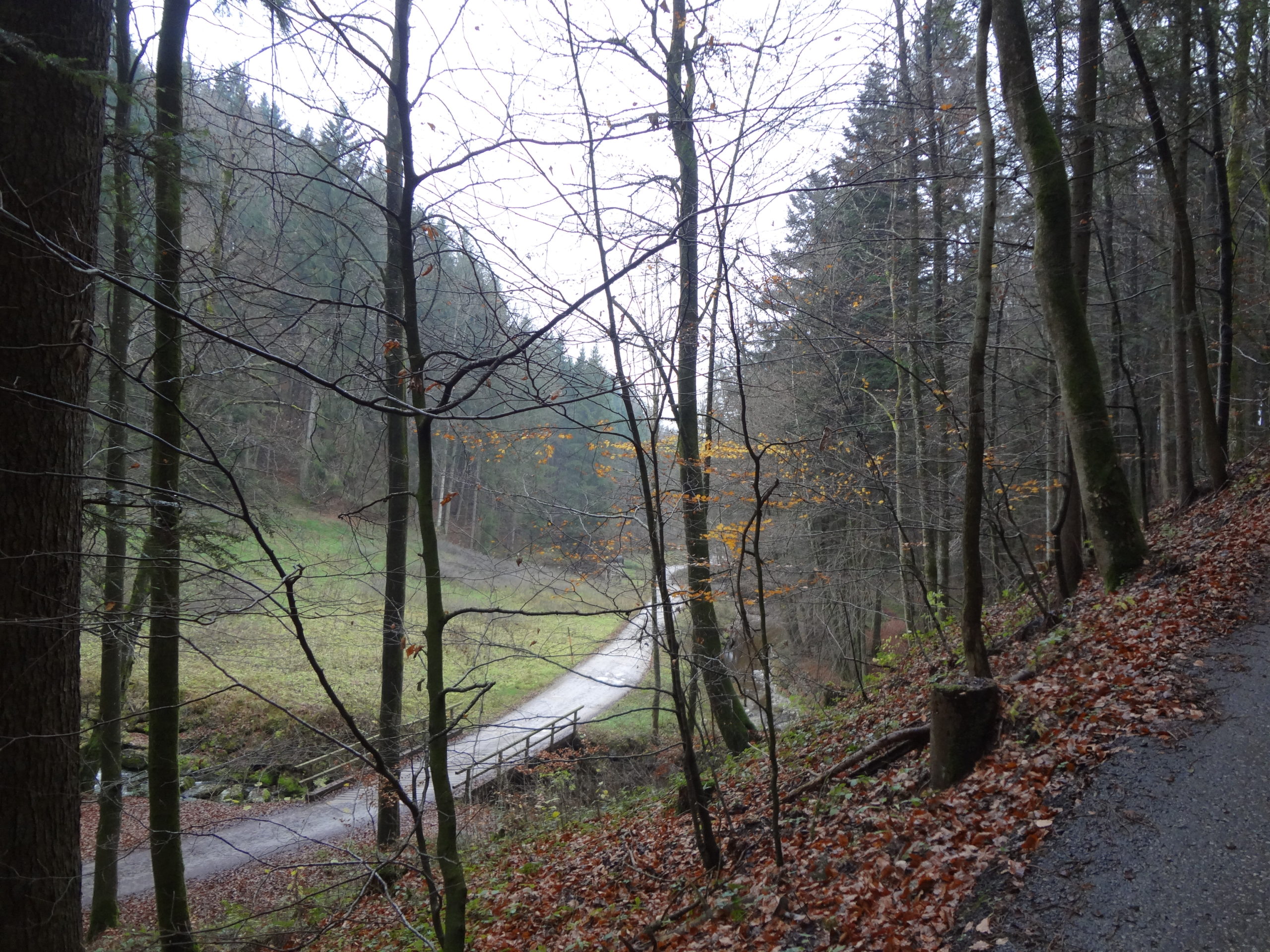 Die Röhrmoosmühle SalzburgerLand Magazin