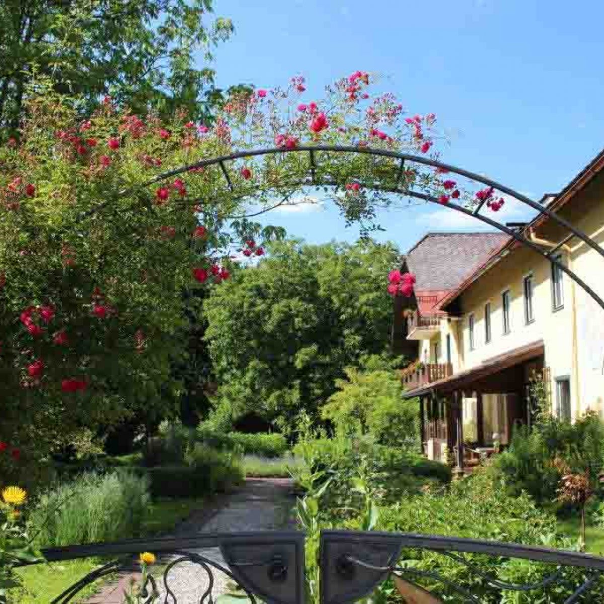 Krauter Tinkturen Likore Und Balsame Aus Dem Kloster