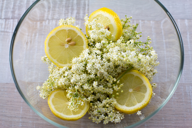 Holunderblüten-Rezepte - SalzburgerLand Magazin