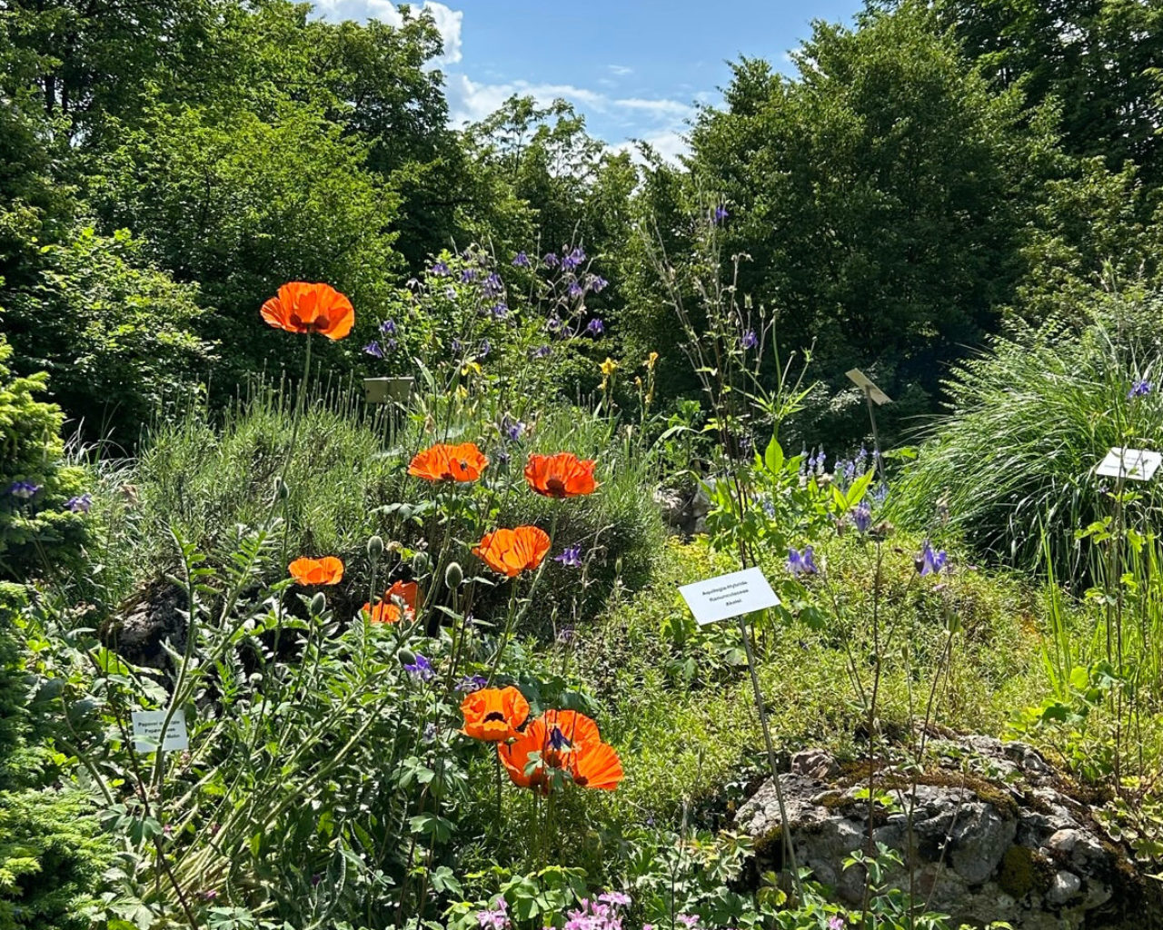 Botanischer Garten Salzburg SalzburgerLand Magazin