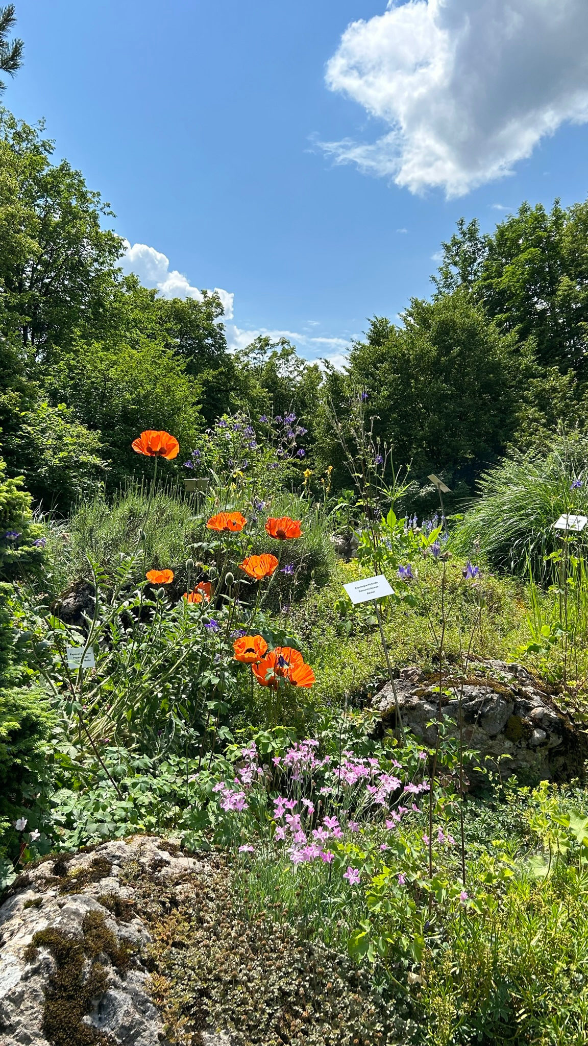 Botanischer Garten Salzburg SalzburgerLand Magazin