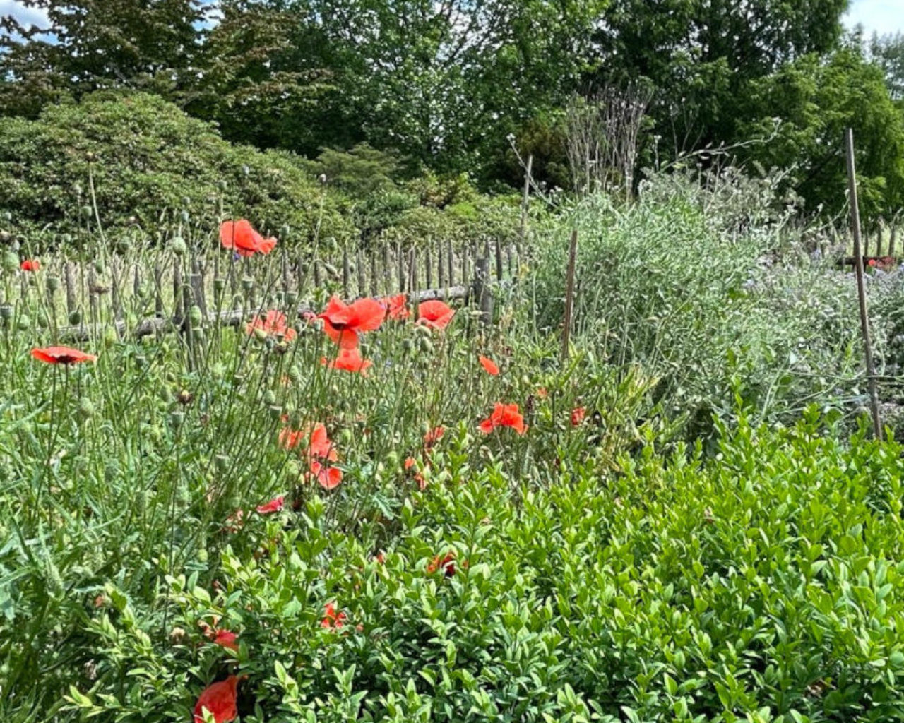Botanischer Garten Salzburg SalzburgerLand Magazin