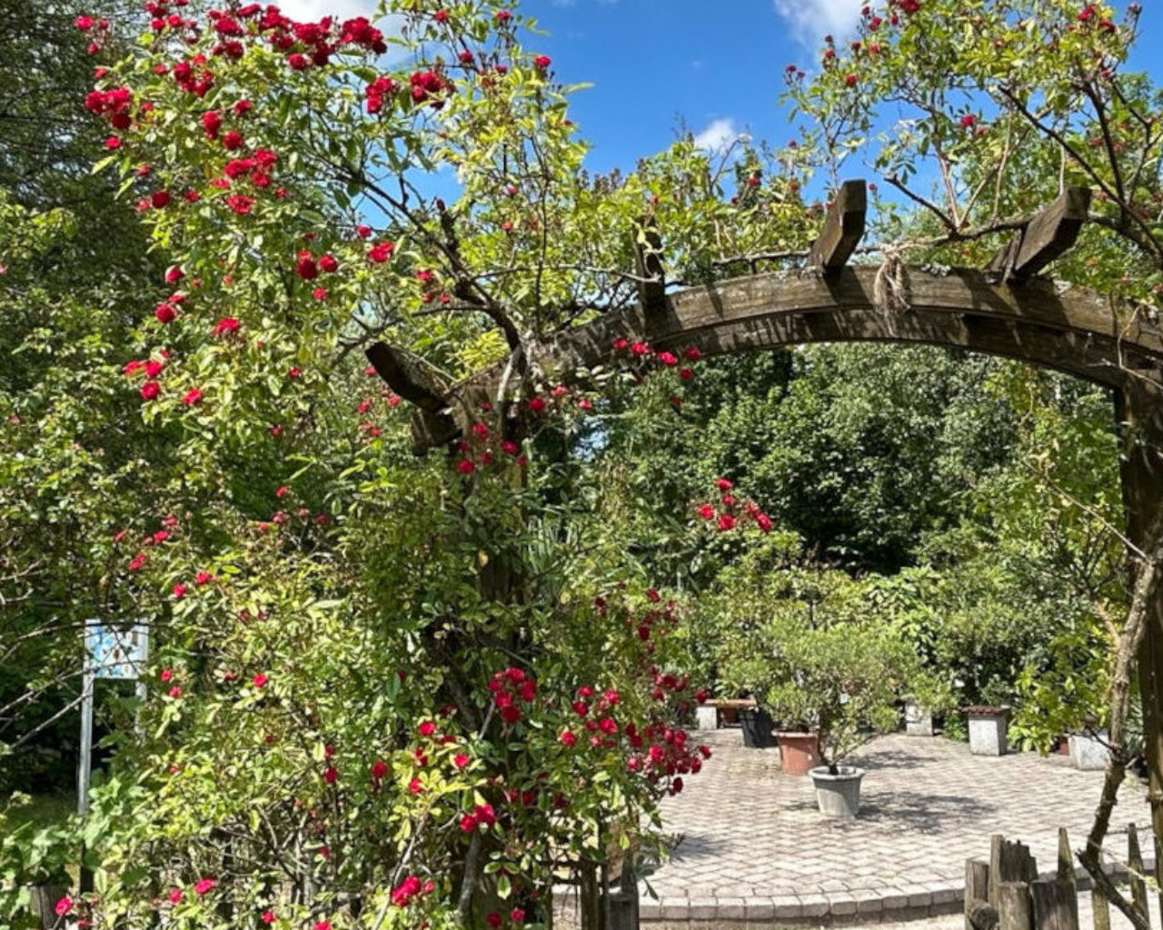 Botanischer Garten Salzburg SalzburgerLand Magazin