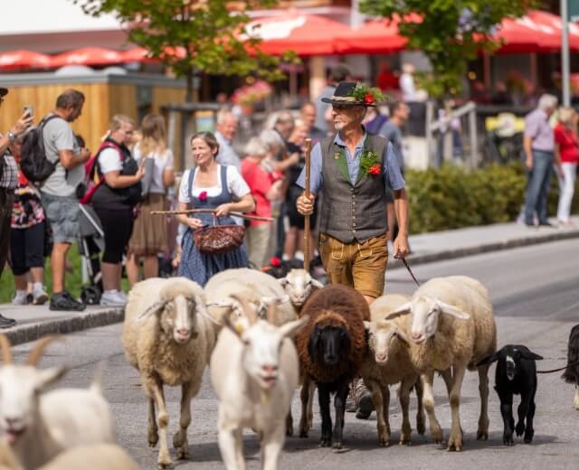 2023-09-18-SLTG-Almabtrieb-Filzmoos-by-michaelgroessinger.com-_L7A9644_KIgen